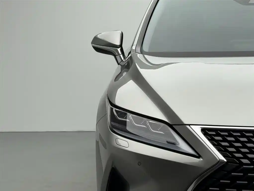Lexus Lexus RX 300 AWD Elegant Edition 2020 Model国V 2021 - thumbnail 8