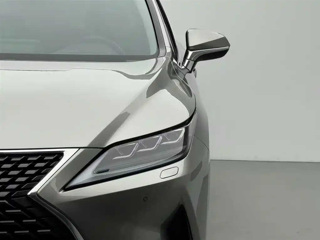 Lexus Lexus RX 300 AWD Elegant Edition 2020 Model国V 2021 - thumbnail 9