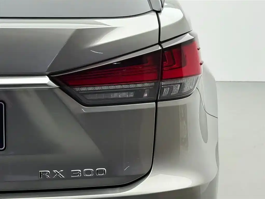 Lexus Lexus RX 300 AWD Elegant Edition 2020 Model国V 2021 - thumbnail 13