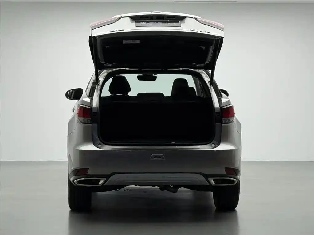 Lexus Lexus RX 300 AWD Elegant Edition 2020 Model国V 2021 - thumbnail 15