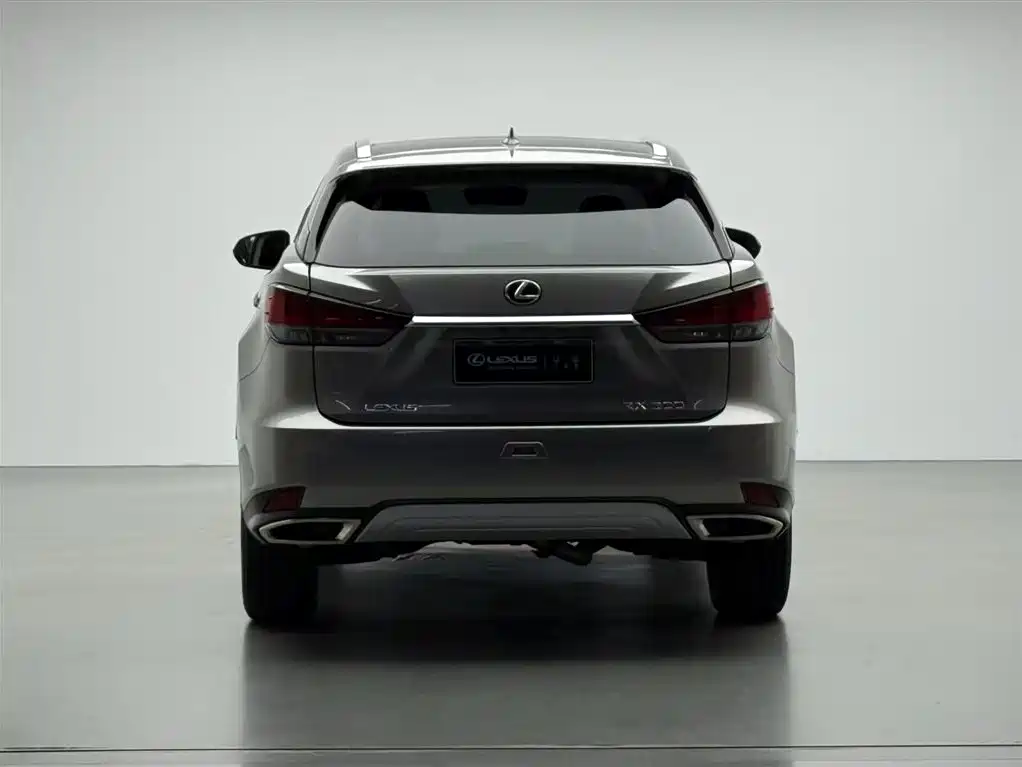Lexus Lexus RX 300 AWD Elegant Edition 2020 Model国V 2021 - thumbnail 16