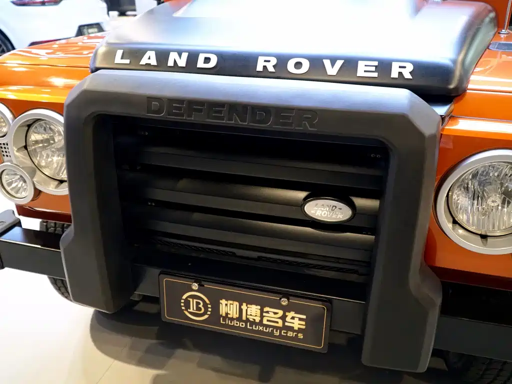 Land Rover Land Rover Defender 2010 Ice & Fire Limited Edition 2010 - thumbnail 12