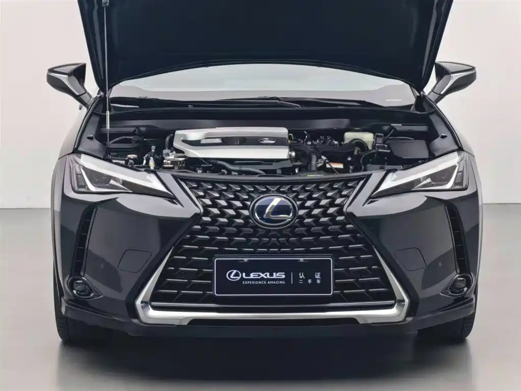 Lexus Lexus UX 260h Adventure Edition 2020 Model V 2021 - thumbnail 3