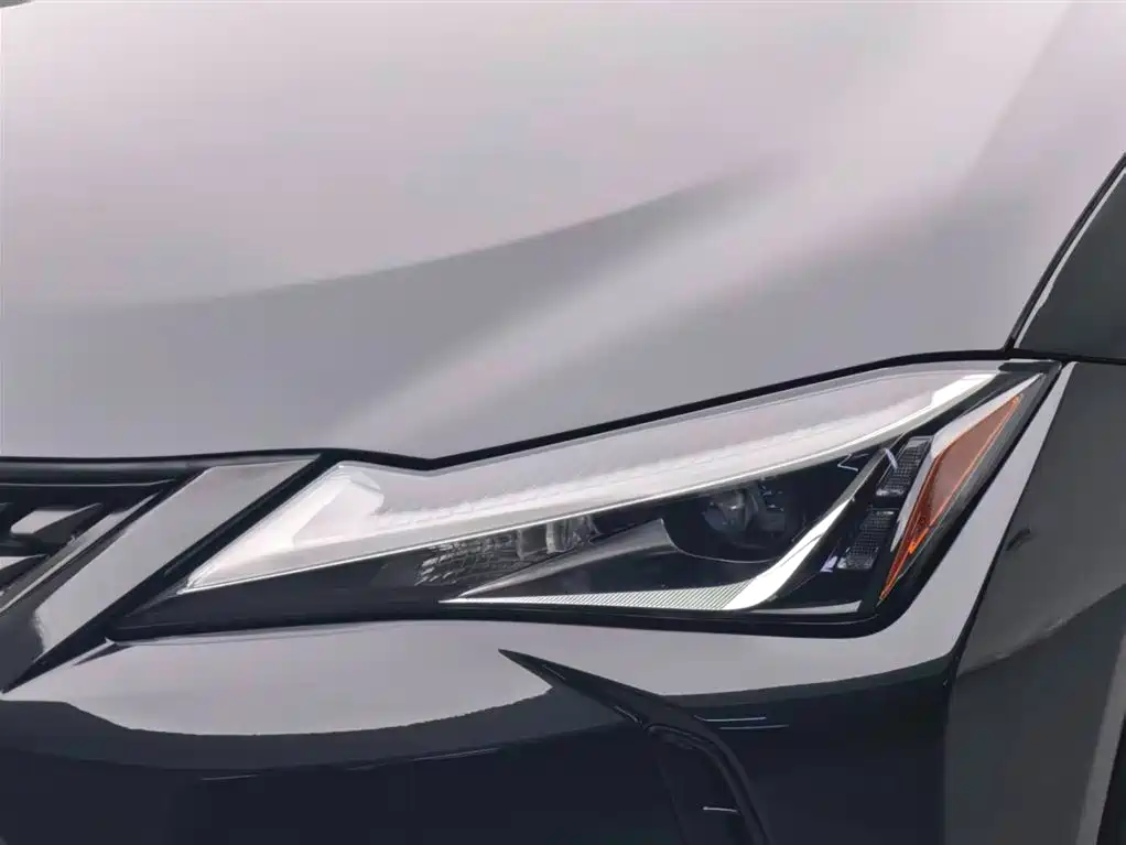 Lexus Lexus UX 260h Adventure Edition 2020 Model V 2021 - thumbnail 13