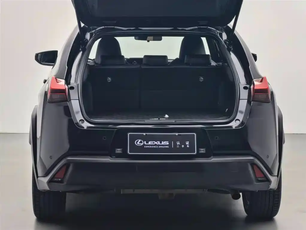 Lexus Lexus UX 260h Adventure Edition 2020 Model V 2021 - thumbnail 15