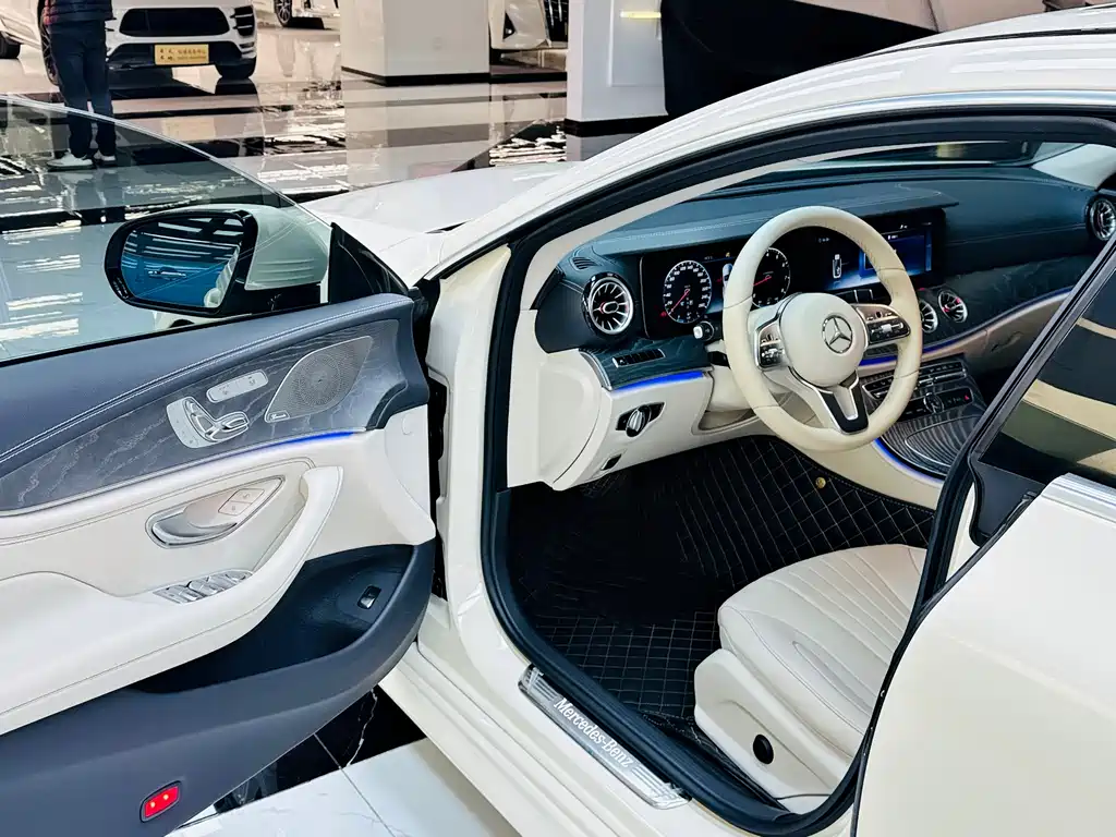 Mercedes-Benz Mercedes-Benz CLS 2018 CLS 300 Luxury 2019 - thumbnail 6