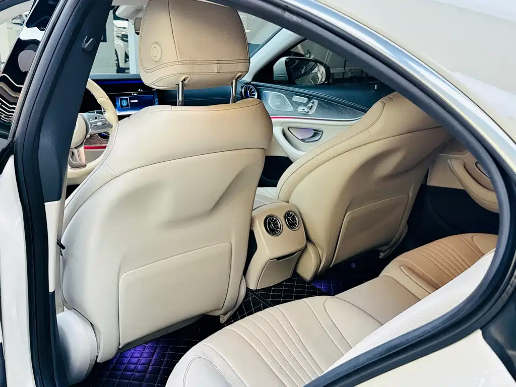 Mercedes-Benz Mercedes-Benz CLS 2018 CLS 300 Luxury 2019 - thumbnail 7