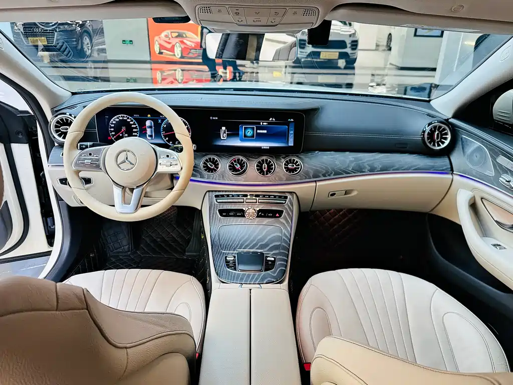 Mercedes-Benz Mercedes-Benz CLS 2018 CLS 300 Luxury 2019 - thumbnail 8