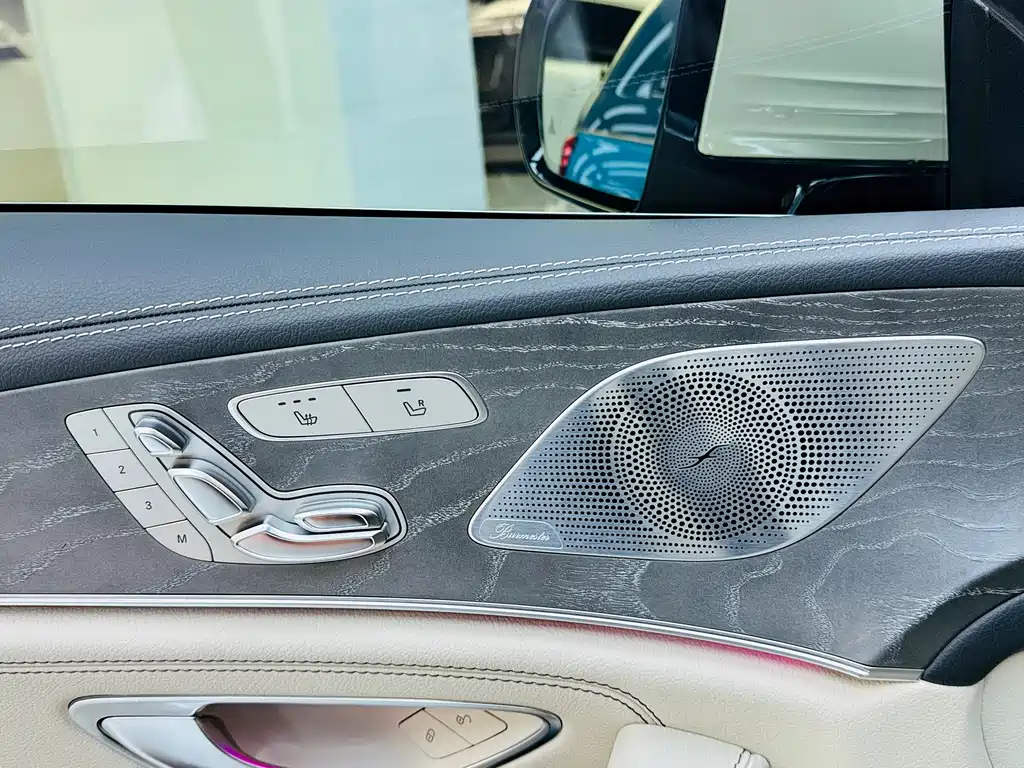 Mercedes-Benz Mercedes-Benz CLS 2018 CLS 300 Luxury 2019 - thumbnail 10