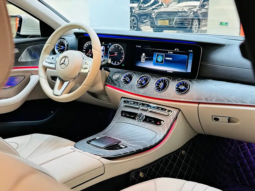 Mercedes-Benz Mercedes-Benz CLS 2018 CLS 300 Luxury 2019 - thumbnail 19