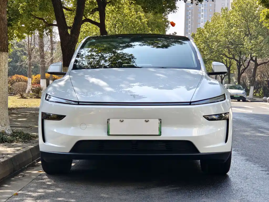 Tesla Model Y 2025 Rear-Wheel Drive 2026 - thumbnail 2