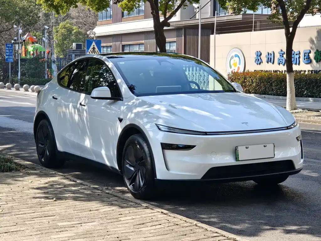 Tesla Model Y 2025 Rear-Wheel Drive 2026 - thumbnail 3