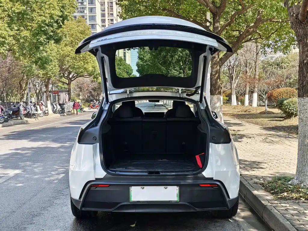 Tesla Model Y 2025 Rear-Wheel Drive 2026 - thumbnail 14