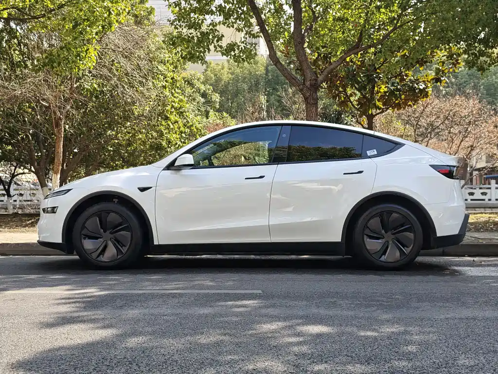 Tesla Model Y 2025 Rear-Wheel Drive 2026 - thumbnail 15