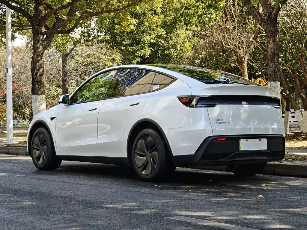 Tesla Model Y 2025 Rear-Wheel Drive 2026 - thumbnail 16