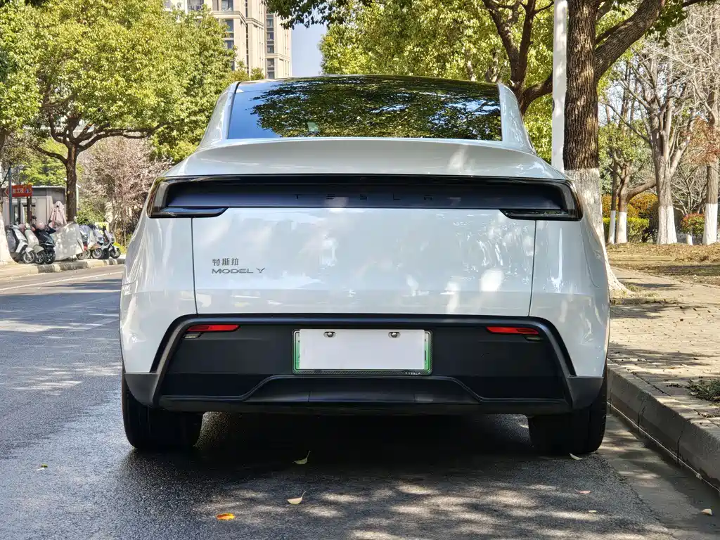 Tesla Model Y 2025 Rear-Wheel Drive 2026 - thumbnail 17