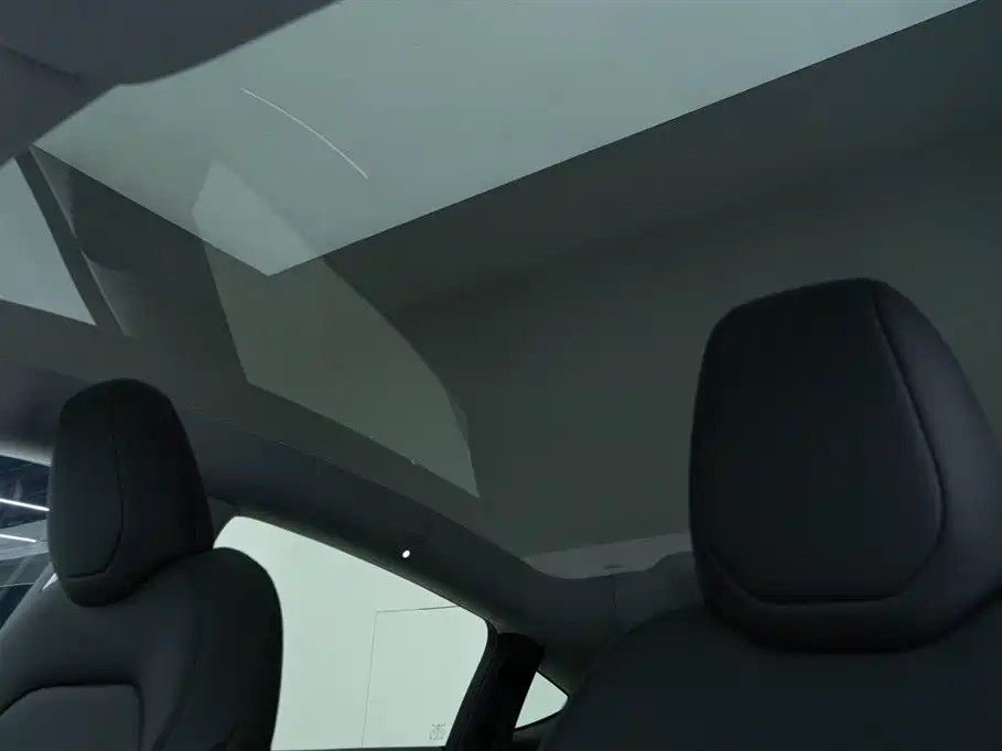 Tesla Model Y 2025 Rear-Wheel Drive Version 2025 - thumbnail 20