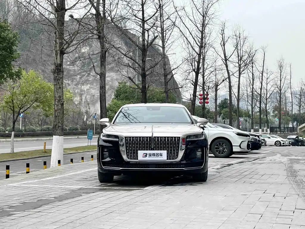 Hongqi Hongqi H9 2022 3.0T Smart Connect Flag Leader Four-Seat Version 2022 - thumbnail 2