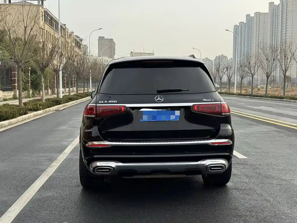 Mercedes-Benz Mercedes-Benz GLS 2020 GLS 450 4MATIC Luxury Edition 2020 - thumbnail 23