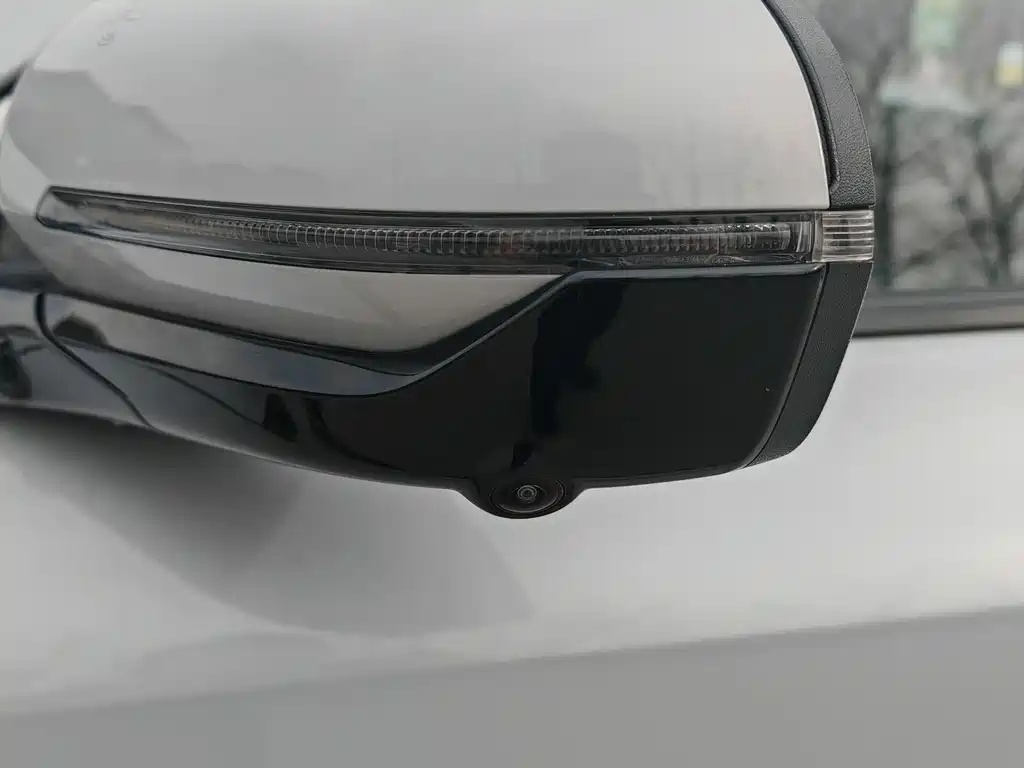BYD BYD Yuan PLUS 2025 Intelligent Driving Edition 510KM Advanced Model 2025 - thumbnail 5