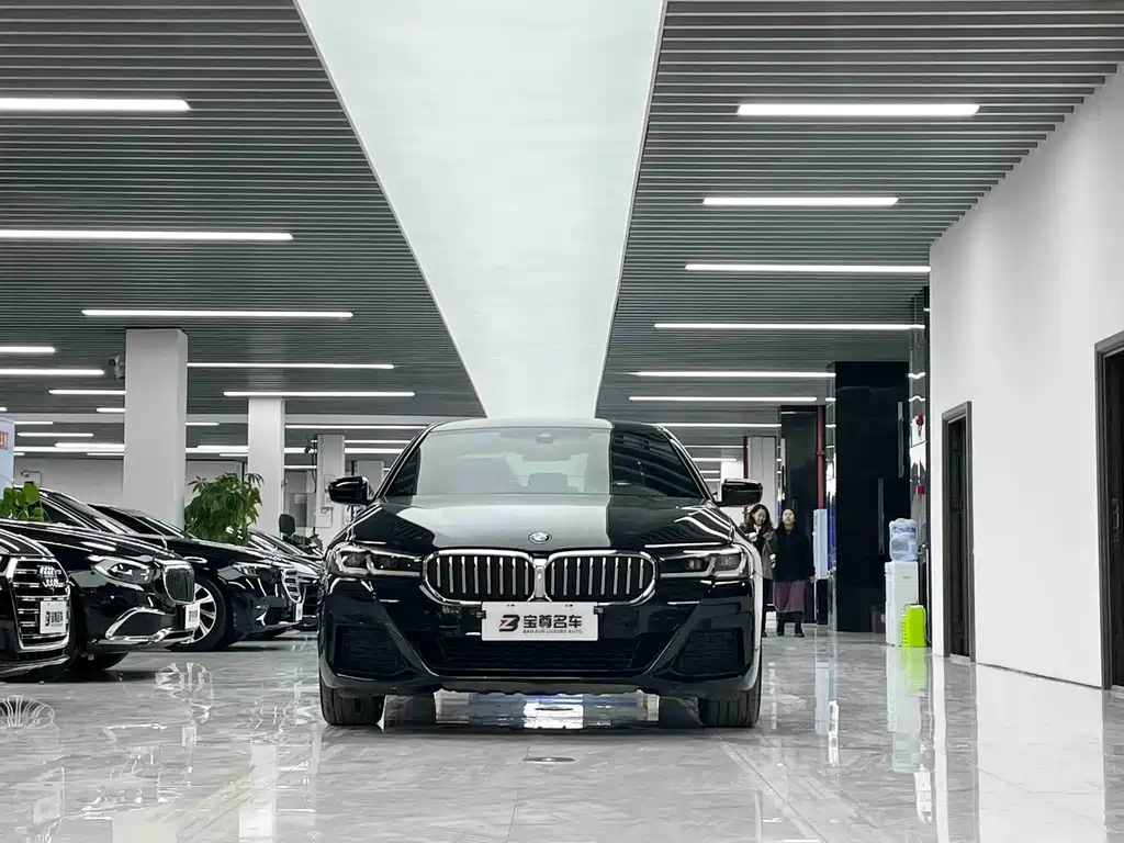BMW BMW 5 Series 2021 530Li xDrive M Sport Package 2021 - thumbnail 2