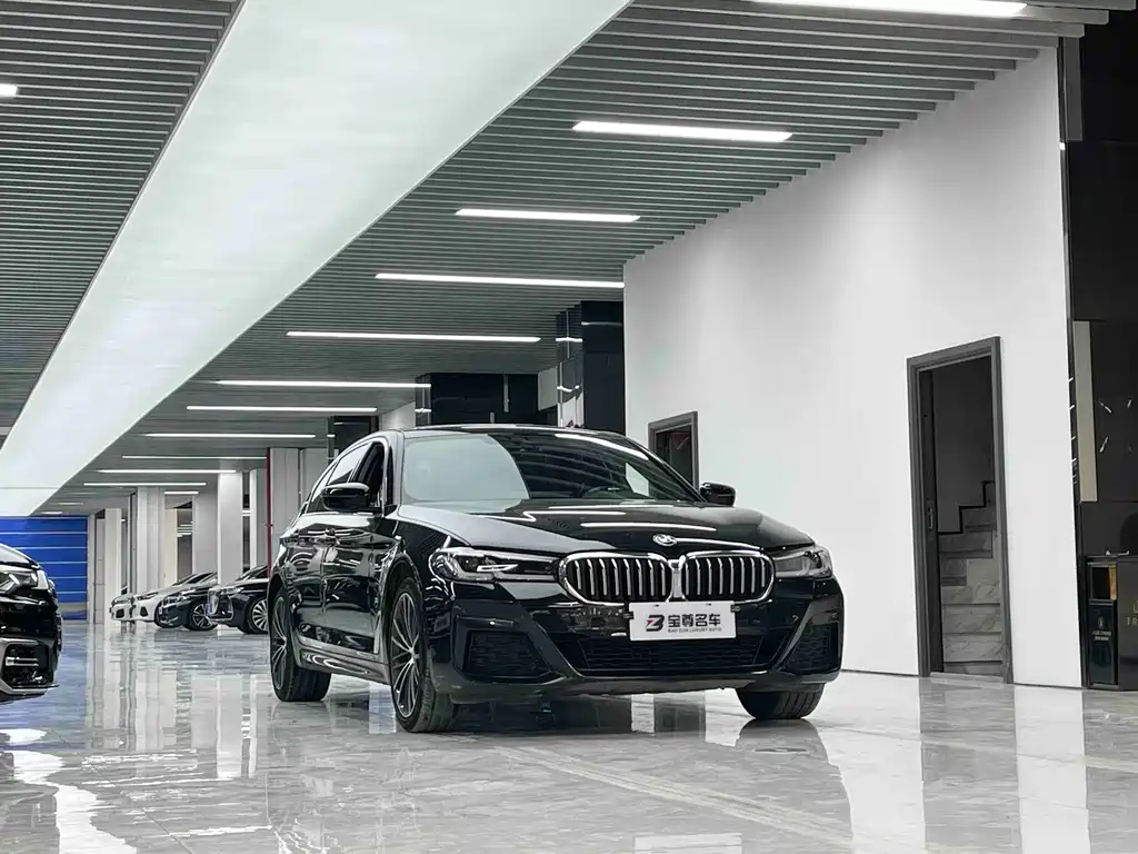 BMW BMW 5 Series 2021 530Li xDrive M Sport Package 2021 - thumbnail 3