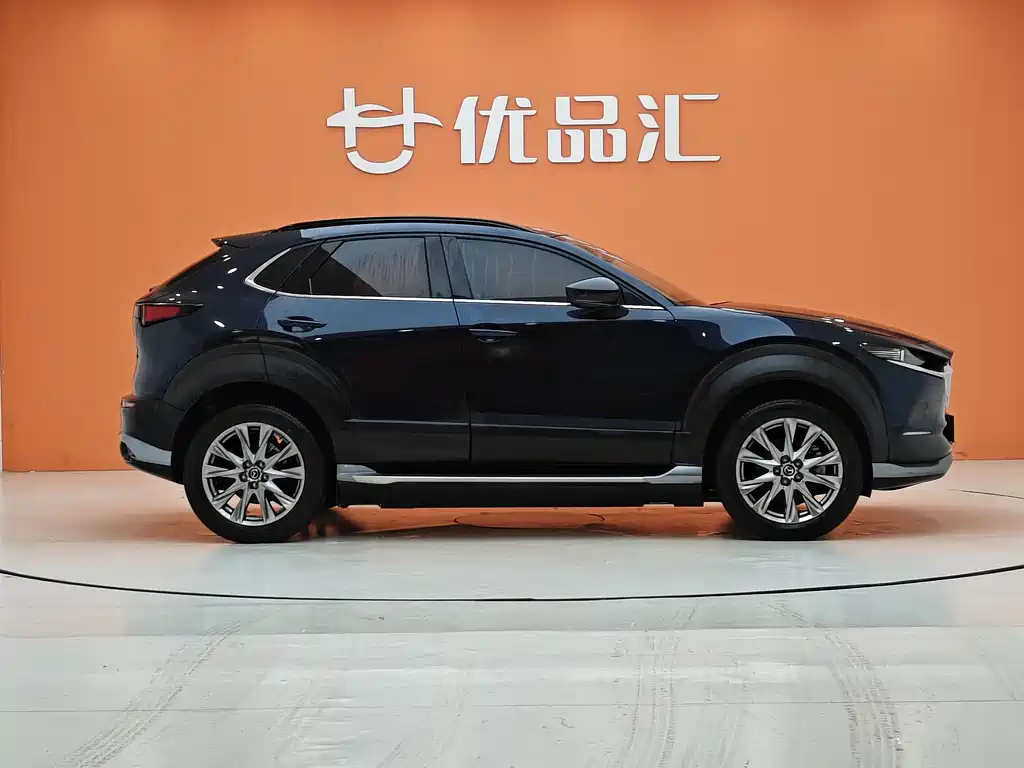 Mazda Mazda CX-30 EV 2021 Pure Electric Premium Edition 2021 - thumbnail 6