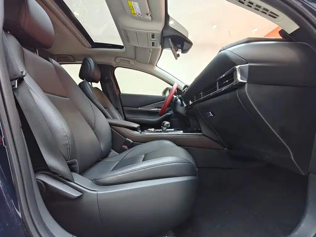 Mazda Mazda CX-30 EV 2021 Pure Electric Premium Edition 2021 - thumbnail 19