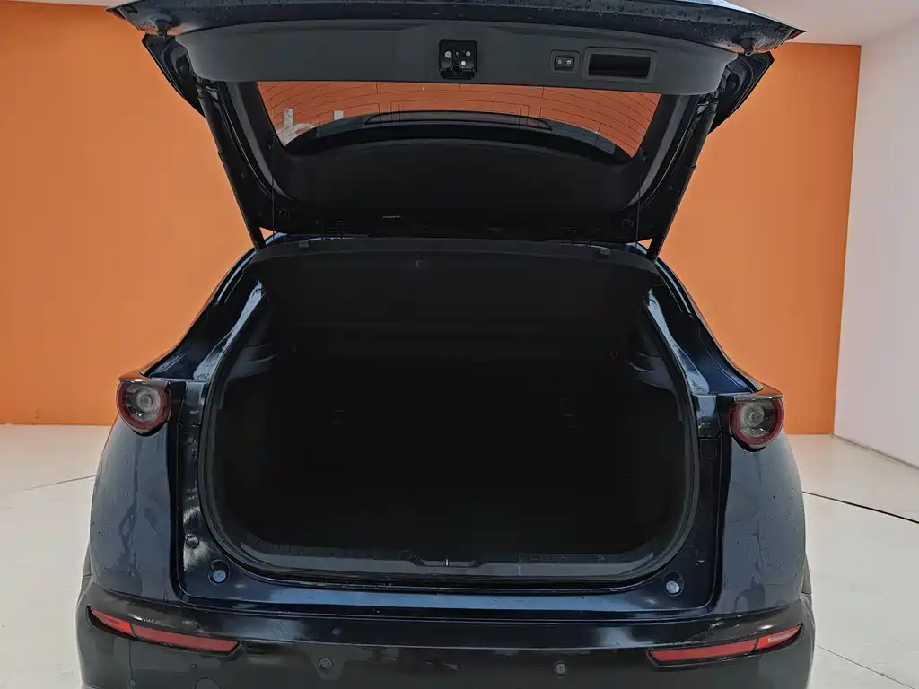 Mazda Mazda CX-30 EV 2021 Pure Electric Premium Edition 2021 - thumbnail 25