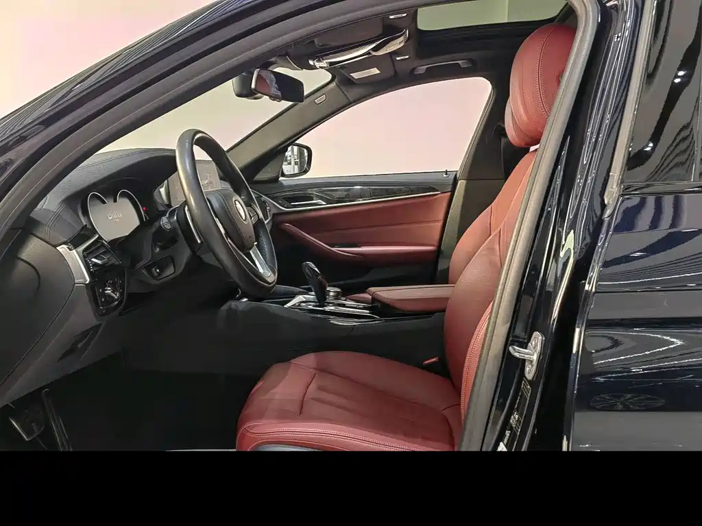 BMW BMW 5 Series 2018 530Li Leading Model M Sport Package 2018 - thumbnail 16