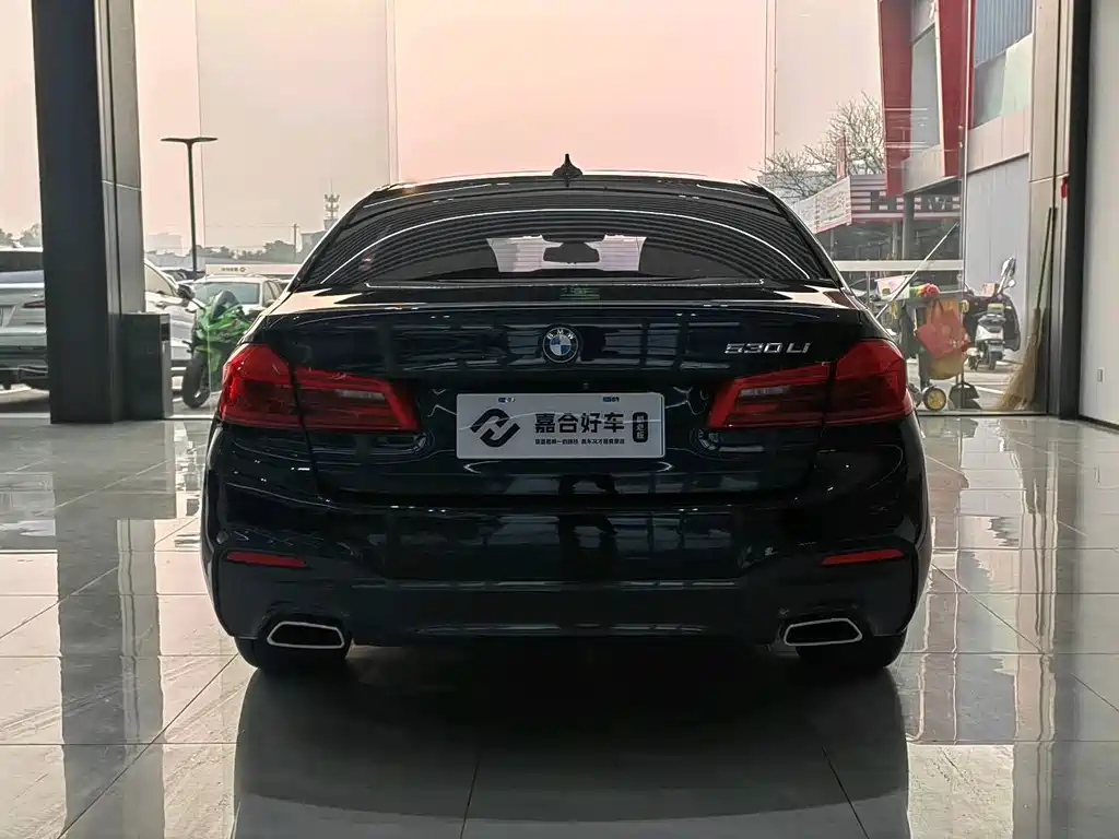 BMW BMW 5 Series 2018 530Li Leading Model M Sport Package 2018 - thumbnail 18