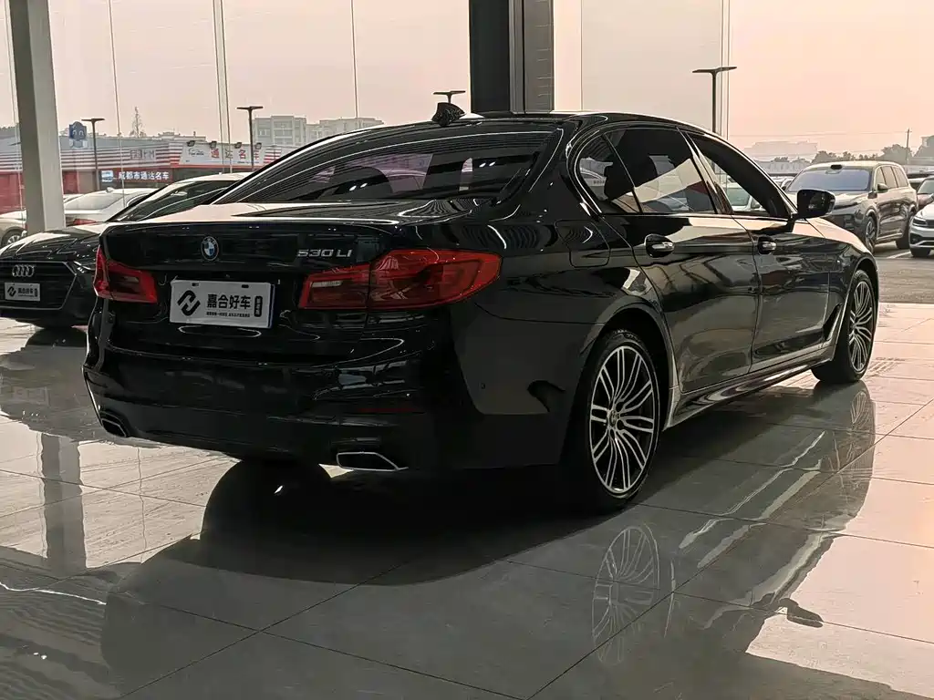 BMW BMW 5 Series 2018 530Li Leading Model M Sport Package 2018 - thumbnail 19