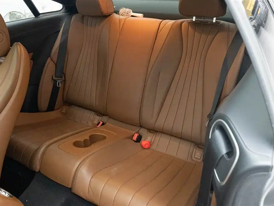 Mercedes-Benz Mercedes-Benz E-Class Coupe 2020 E 260 4MATIC 2020 - thumbnail 13