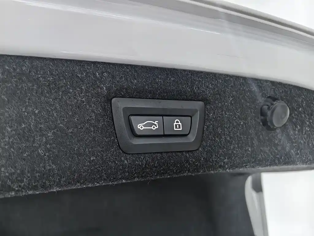 BMW BMW 5 Series 2022 Facelift 530Li Leading Model Luxury Package 2022 - thumbnail 30