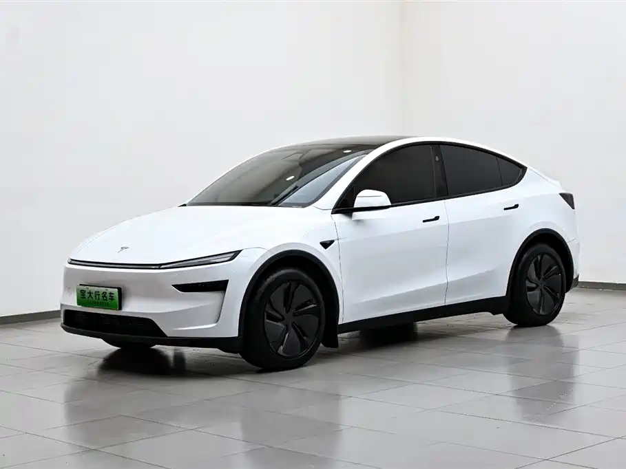 Tesla Model Y 2025 Rear-Wheel Drive 2025 - thumbnail 2