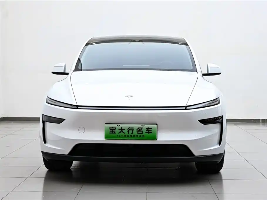 Tesla Model Y 2025 Rear-Wheel Drive 2025 - thumbnail 3