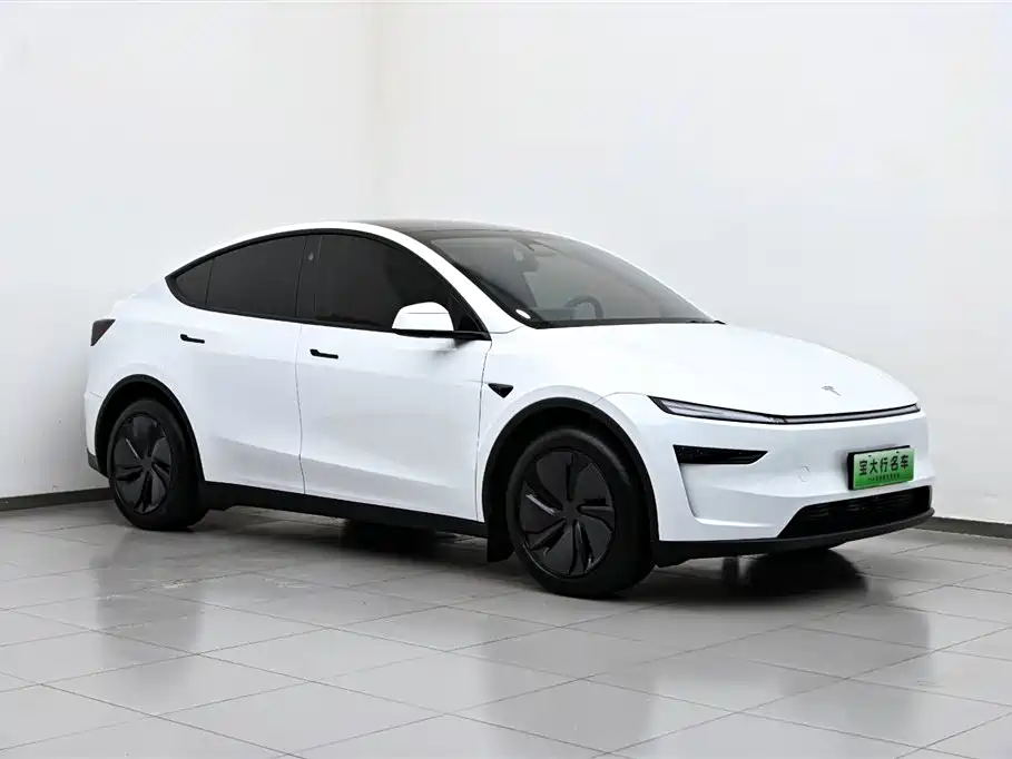 Tesla Model Y 2025 Rear-Wheel Drive 2025 - thumbnail 4