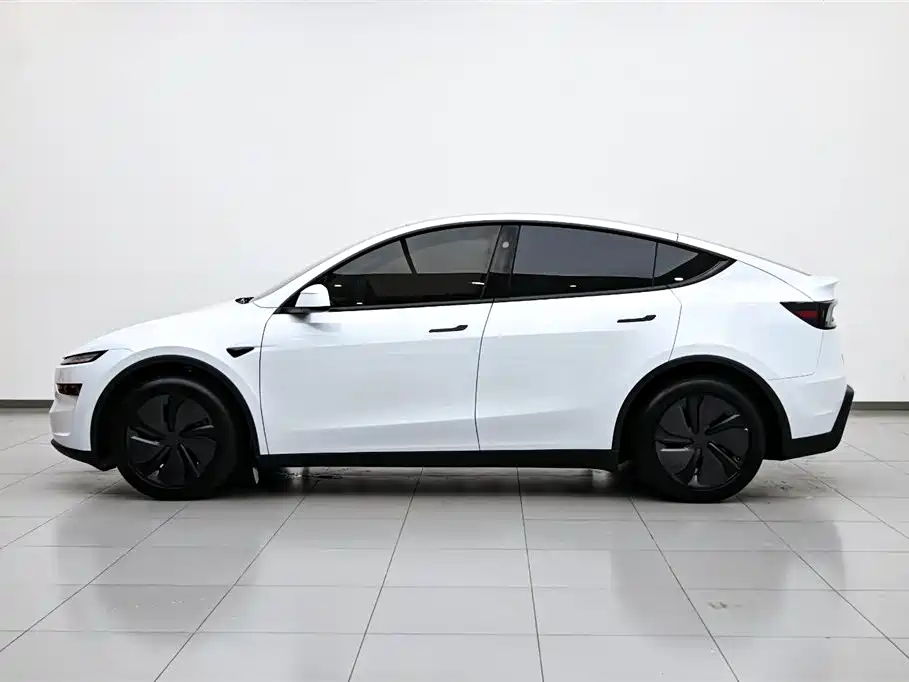 Tesla Model Y 2025 Rear-Wheel Drive 2025 - thumbnail 5