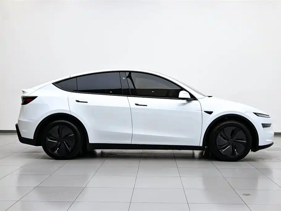 Tesla Model Y 2025 Rear-Wheel Drive 2025 - thumbnail 6