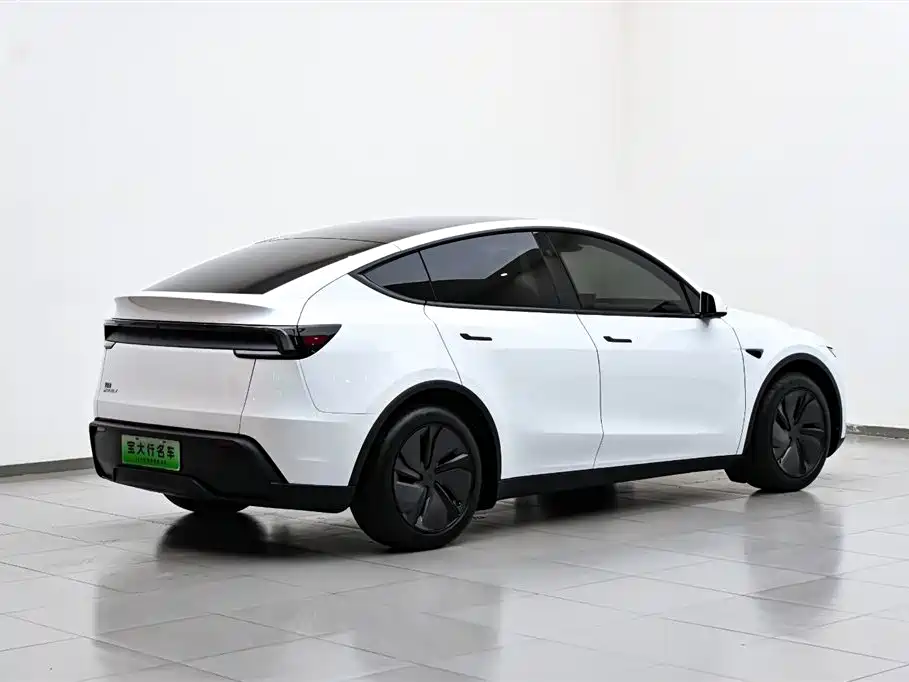 Tesla Model Y 2025 Rear-Wheel Drive 2025 - thumbnail 7