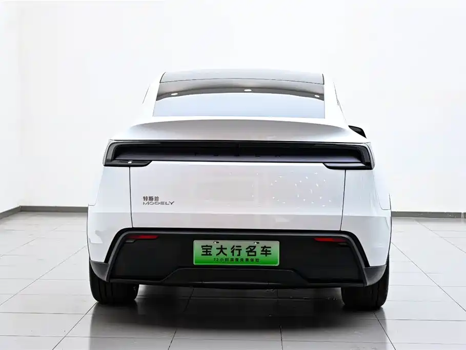 Tesla Model Y 2025 Rear-Wheel Drive 2025 - thumbnail 8