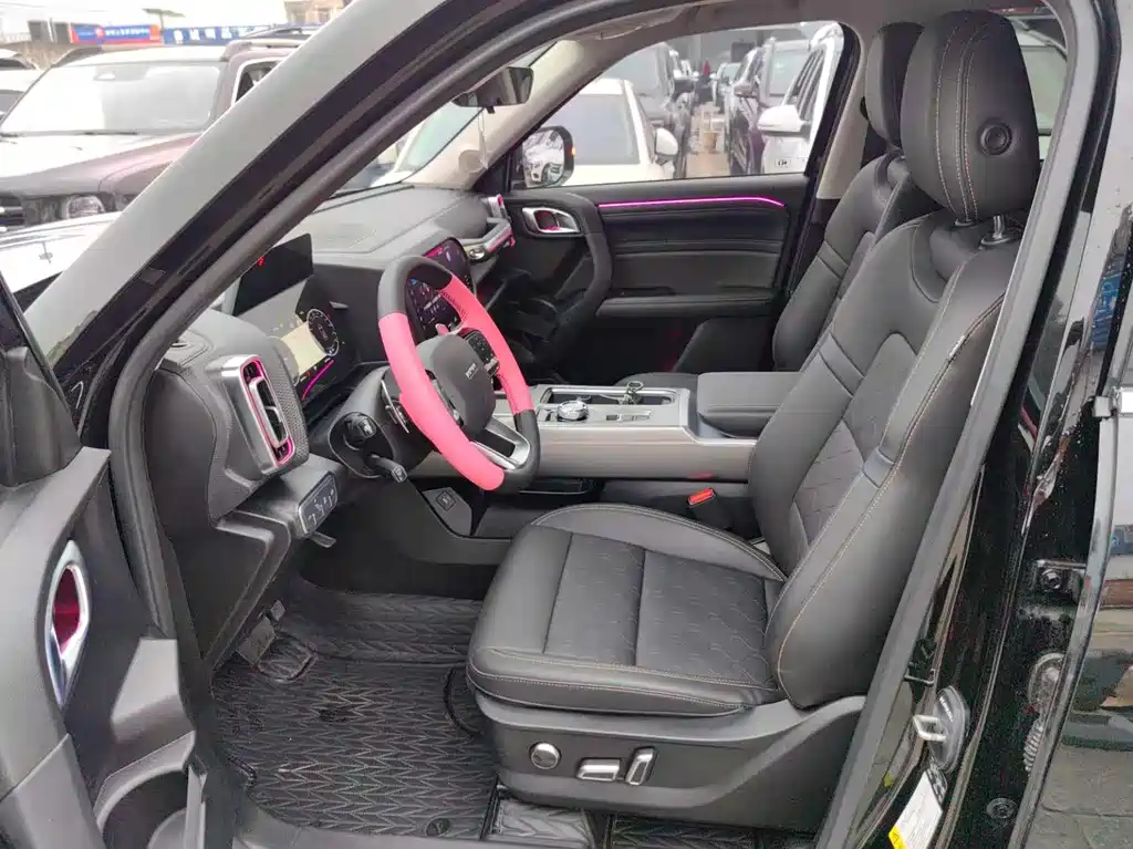 Haval Haval Big Dog 2024 1.5T DCT Border Collie Edition 2024 - thumbnail 4