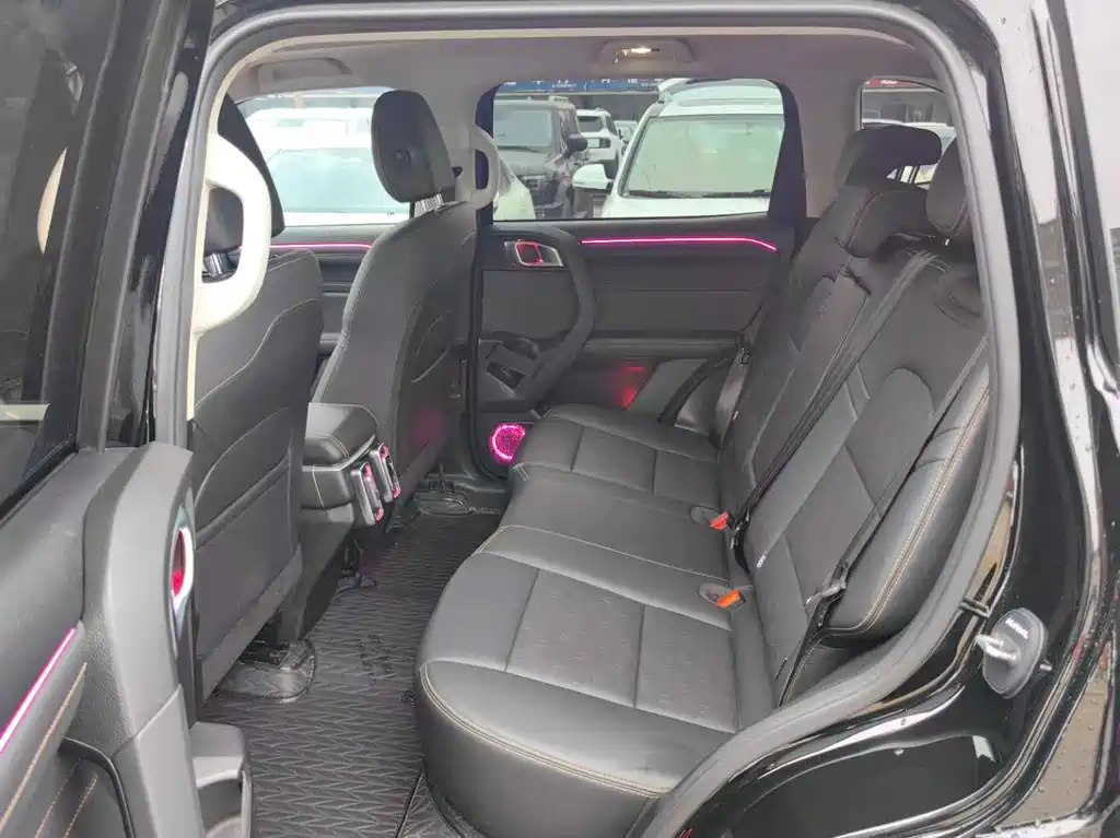 Haval Haval Big Dog 2024 1.5T DCT Border Collie Edition 2024 - thumbnail 5