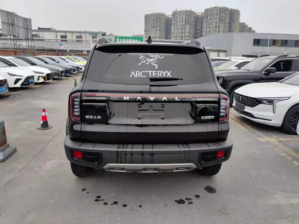 Haval Haval Big Dog 2024 1.5T DCT Border Collie Edition 2024 - thumbnail 11