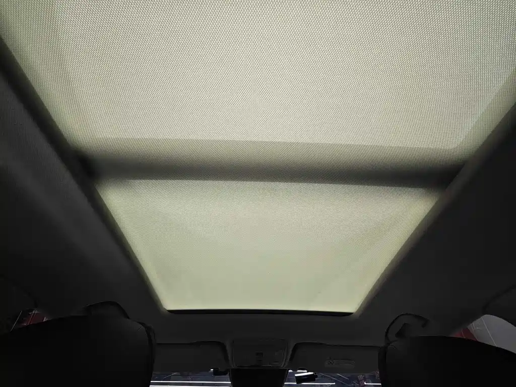 Hongqi Hongqi HS5 2022 Model Year Facelift 2.0T Smart Connect Flag Enjoy Edition 2023 - thumbnail 10