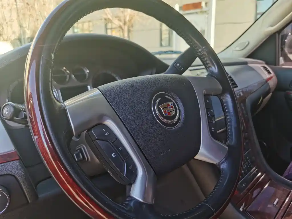 Cadillac Cadillac Escalade 2010 6.0 Hybrid 2011 - thumbnail 19