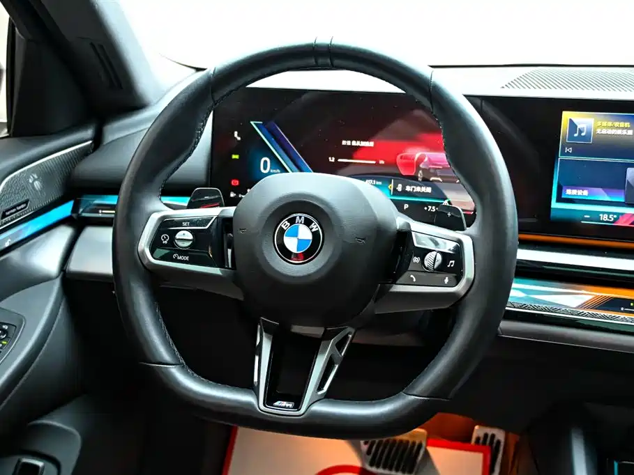 BMW BMW 5 Series 2024 530Li Leading Model M Sport Package 2024 - thumbnail 19