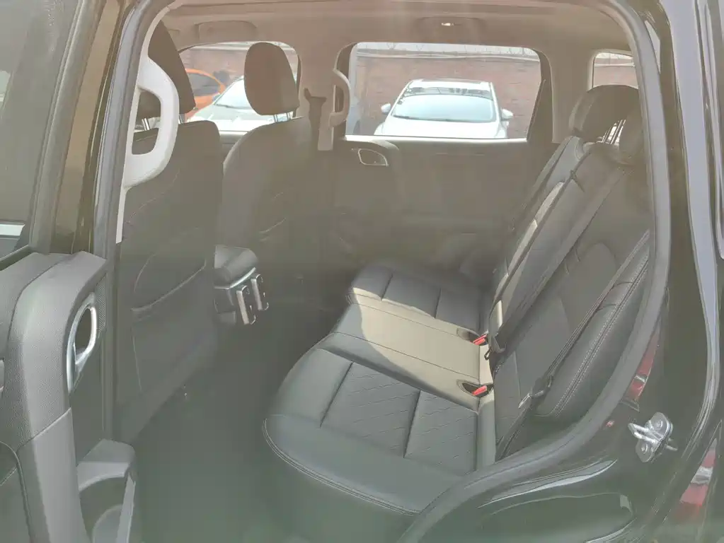 Haval Haval Big Dog 2024 1.5T DCT Border Collie Edition 2023 - thumbnail 6