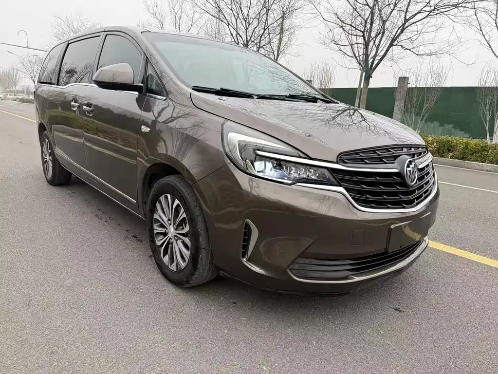 Buick Buick GL8 2021 Land Business Class 652T Luxury Edition 2021 - thumbnail 3
