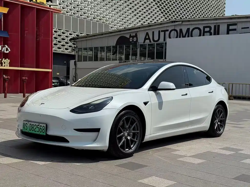 Tesla Model 3 2021 Standard Range Rear-Wheel Drive Plus 3D1 2021